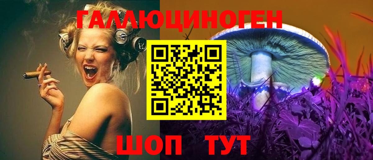 Галлюциногенные грибы GOLDEN TEACHER Солнечногорск