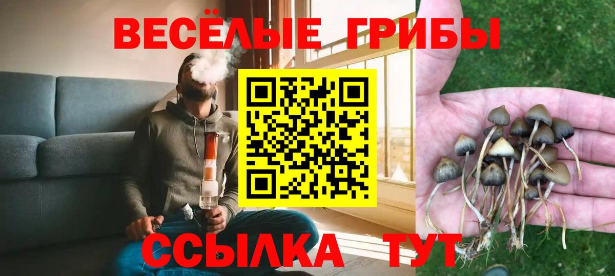  КОКАИН Солнечногорск